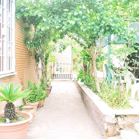 Dream Of Eden *